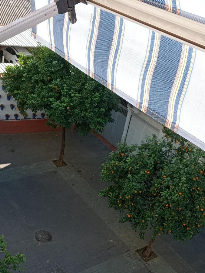 Apartment La Paloma