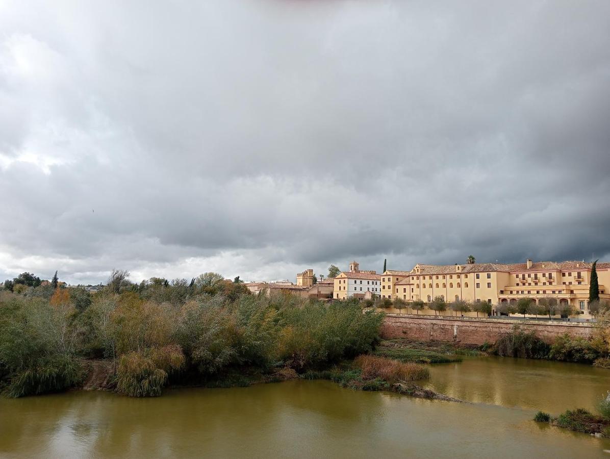 Appartement La Paloma