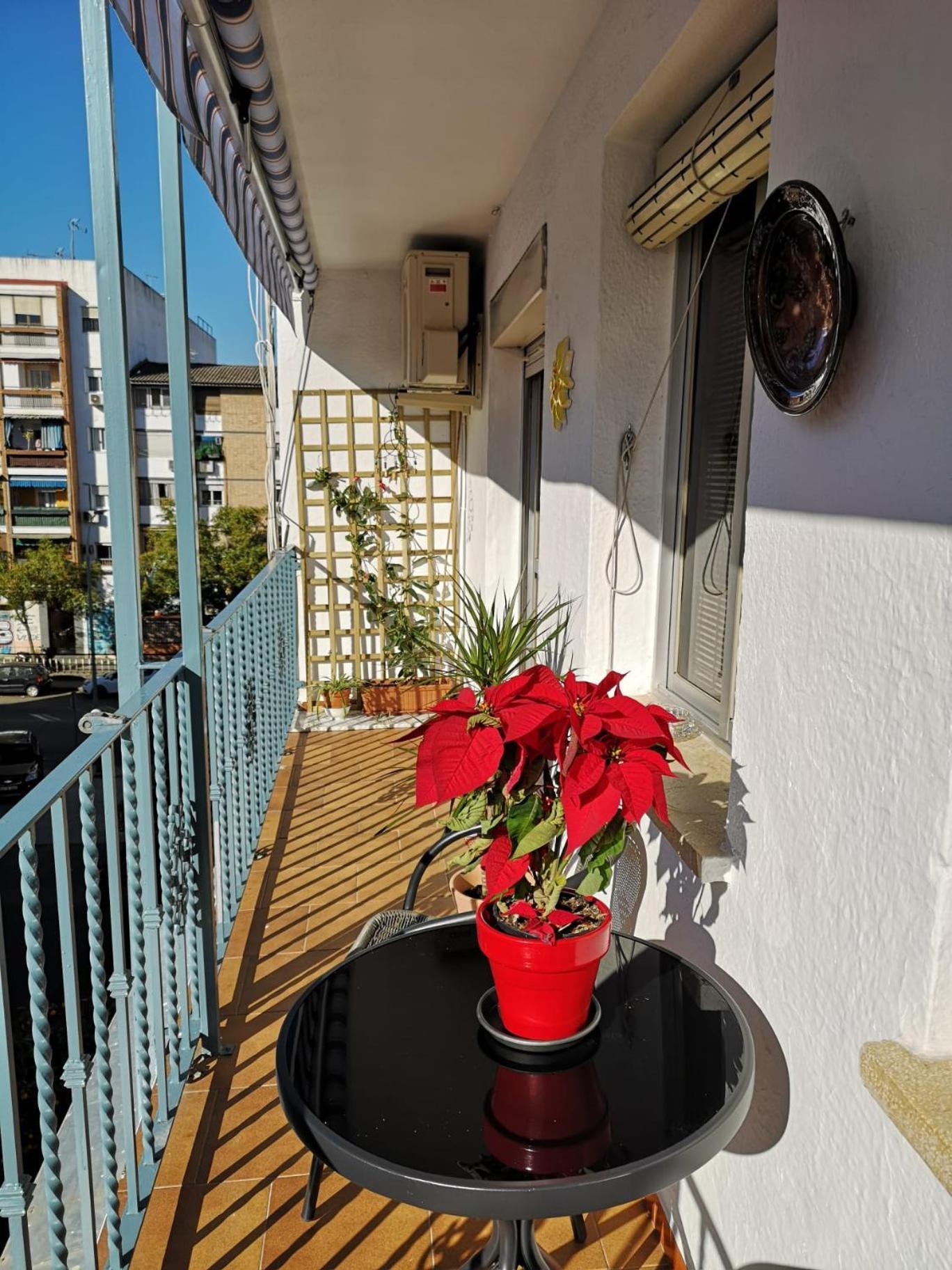 La Paloma Apartment Cordoba